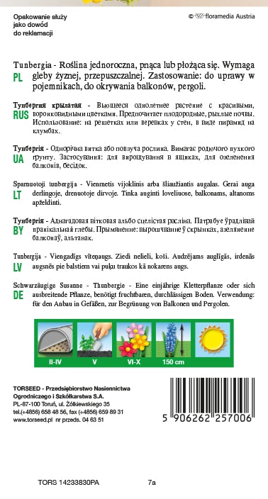 Tunbergia - Thunbergia alata vite - giallo con occhi neri 0,5 g