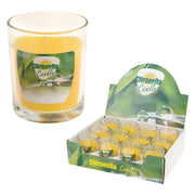 12pz candela alla citronella cm 6,2 x 5 cod:ferx.6150816nlm
