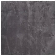 Tappeto del soggiorno | Tappeto Pelo Corto HUARTE Morbido Lavabile Antracite 160x160 cm