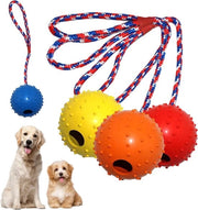 Palla da Cane con Corda - Pacchetto da 4 - Raccogliere, Catturare, Lanciare, Tiro alla Corda - Gomma Naturale (5 cm)