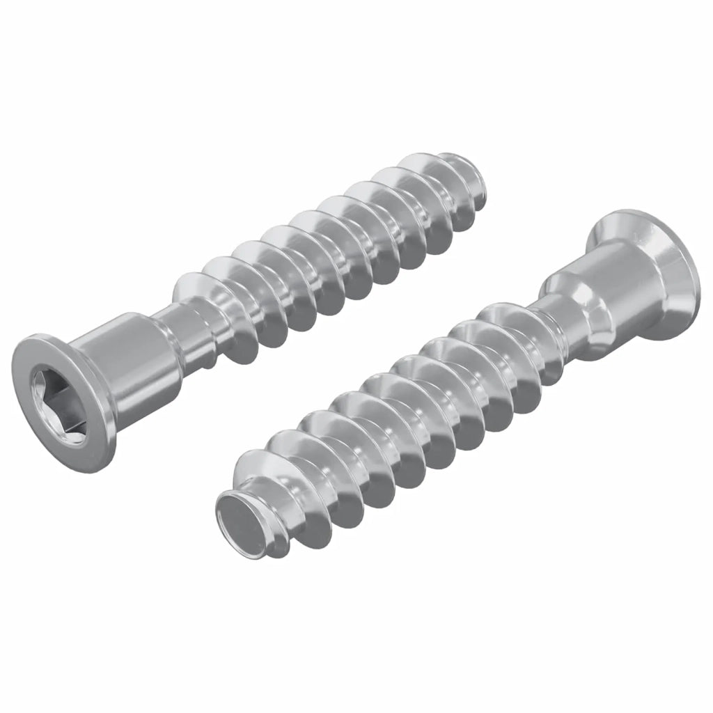 Vite a testa cilindrica 2 pz Argento M7 x 40 mm Acciaio CFW6288288