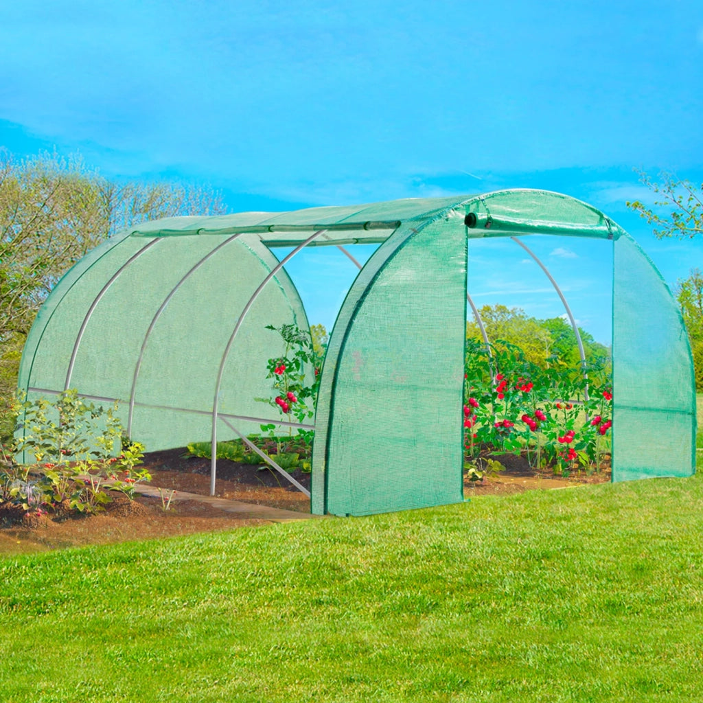IDMarket - Serra tunnel di giardinario 12m²  verde 4 stagioni ZEBRA 4x3M