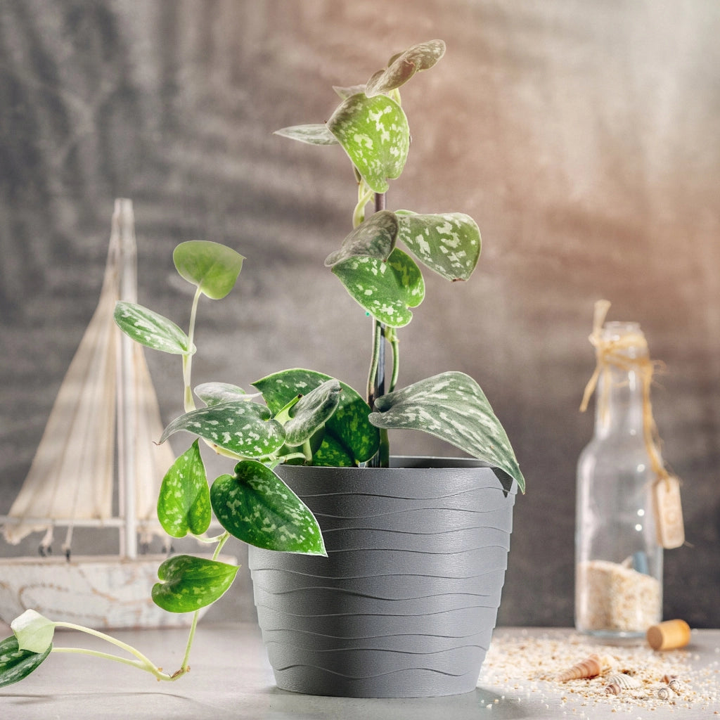 Vaso da fiori KADAX, Vaso da fiori, Grigio, Rotondo, 11 cm, Plastica