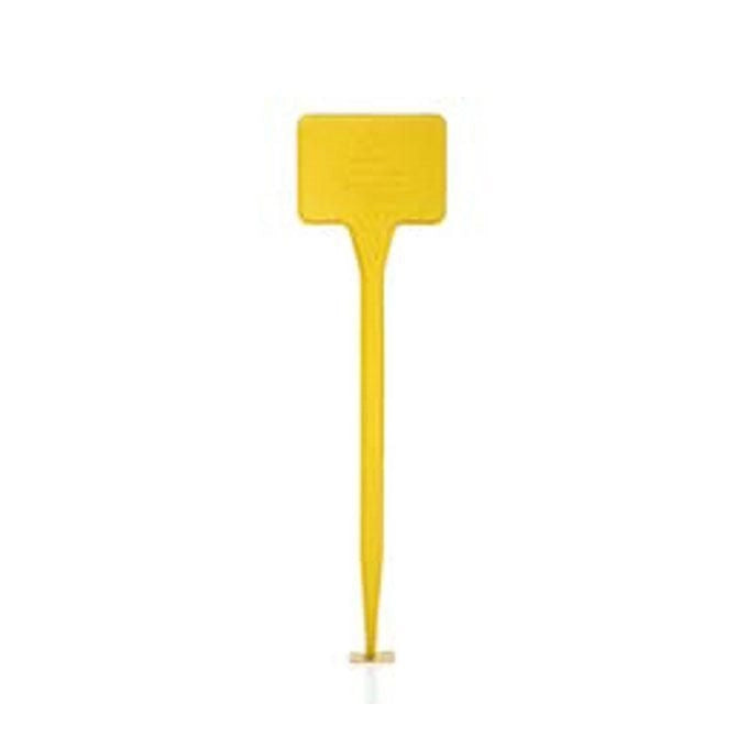 Erba Portaprezzo vasi Giallo cm 4,0x5 h 20