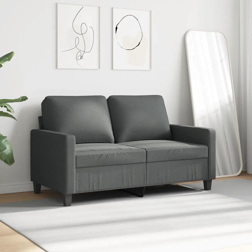 Divano a 2 Posti Grigio Scuro 120 cm in Tessuto 359156