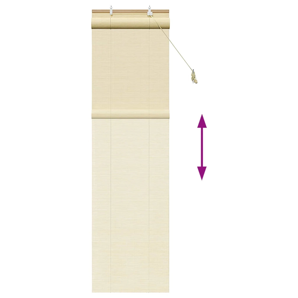 Tenda a rullo Naturale 40 x 220 cm Bambù 42039749
