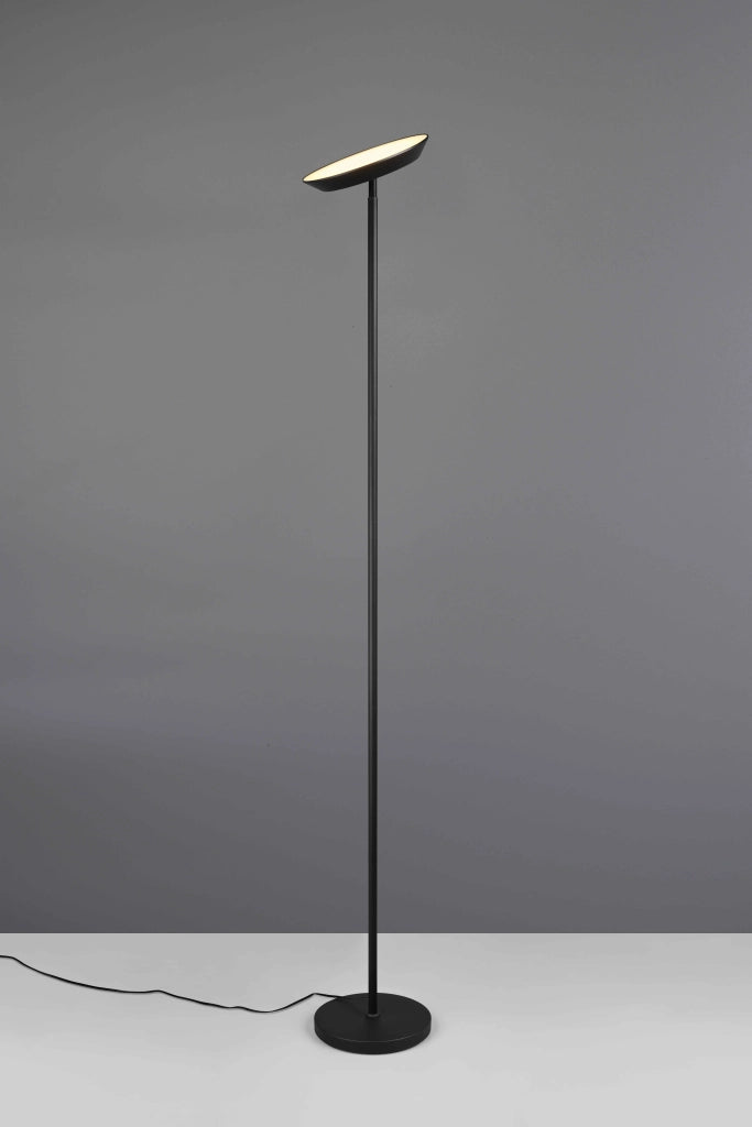 Piantana LED, metallo, nero, H 180 cm, Specter