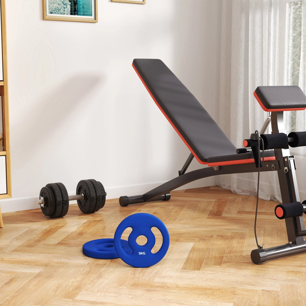 Set di 2 manubri, 2 pesi da 5 kg, set di dischi di peso, dischi di peso per bilancieri da 2,5 cm, foro ? 30 mm, blu