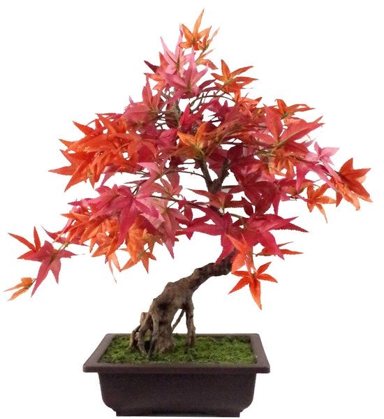 Pianta bonsai artificiale a foglie.