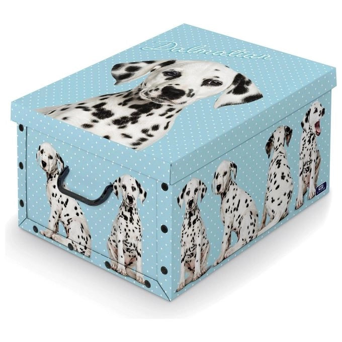Domopak 914535 Living Scatola Portabiancheria in Cartone con Maniglie 39x50x24 cm colore Multicolore