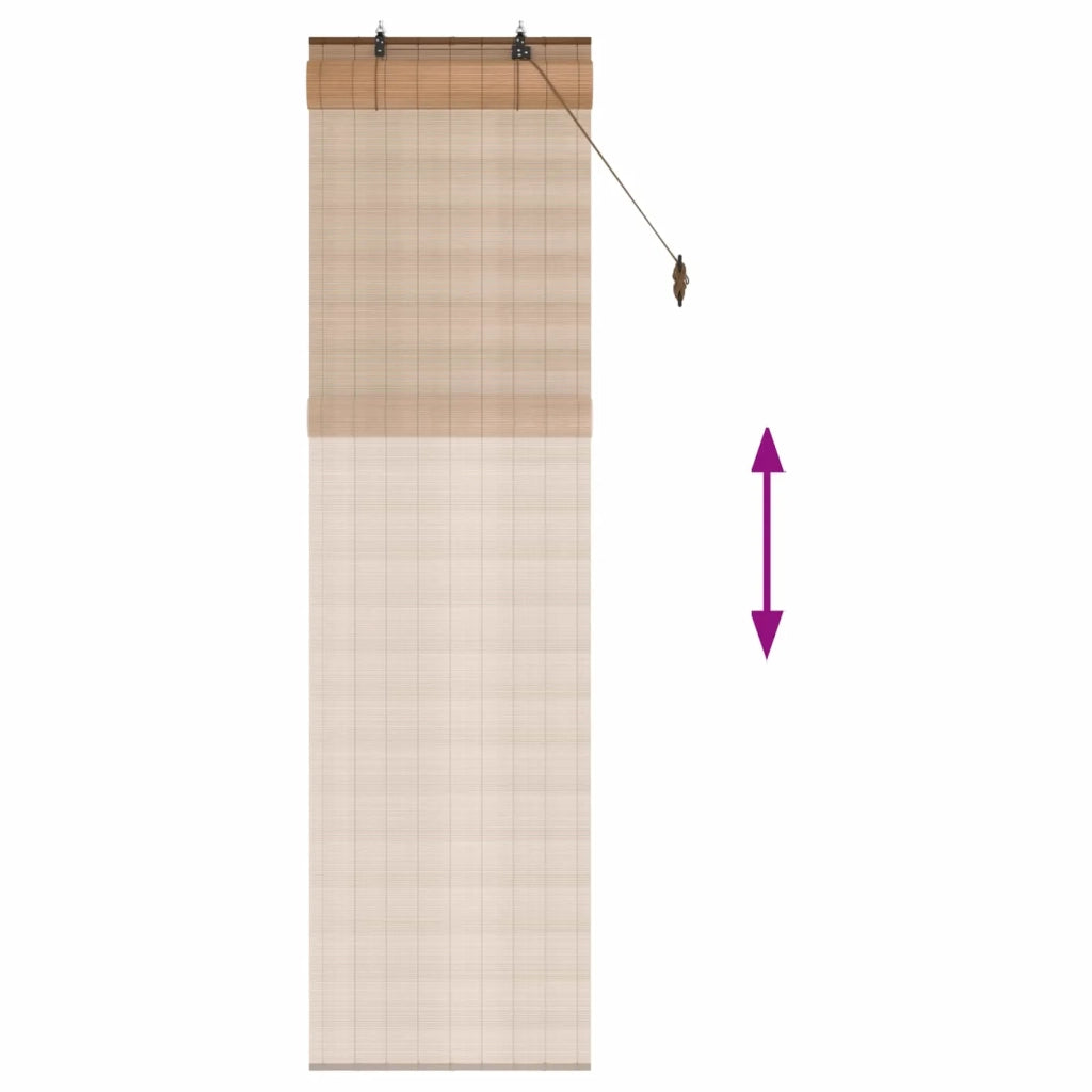 Tenda a rullo Marrone 40 x 220 cm Bambù 42039697