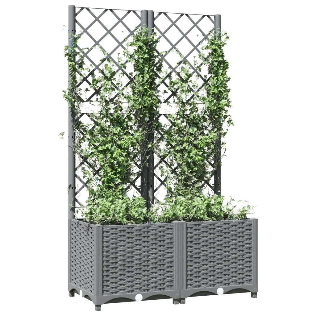 Fioriera da Giardino con Graticcio Grigio Chiaro 80x40x136cm PPcod mxl 71072