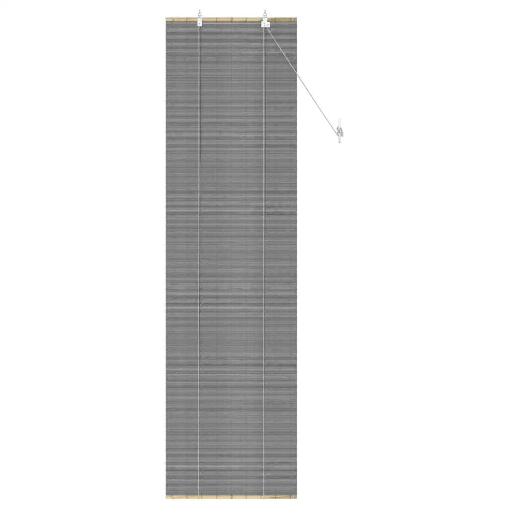Tenda a rullo Grigio 50 x 220 cm Bambù 42039715