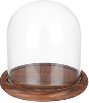 Copertura di Vaso di Fiori in Vetro Translucido con Base in Legno Permanente