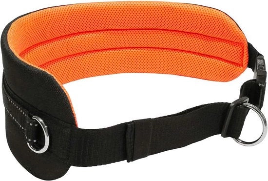 Trekking per cani - Riem per cani con dettagli rifrangenti Nero/Arancione neon con dettagli rifrangenti