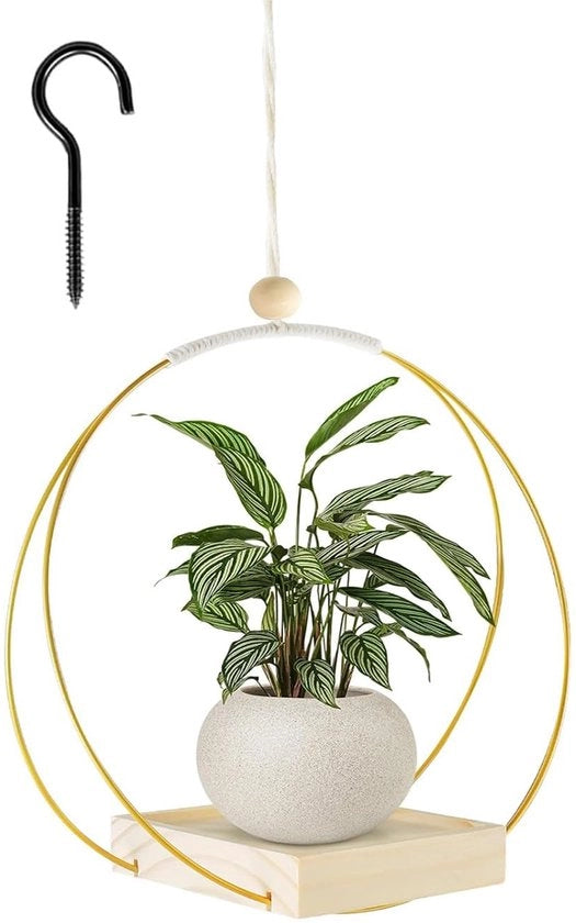 Pianta a muro per interni, 30 x 30 cm, vaso per piante da soffitto, anello metallico con piede in legno per piante da appartamento, piante grasse, piante aeree e cacti (oro)