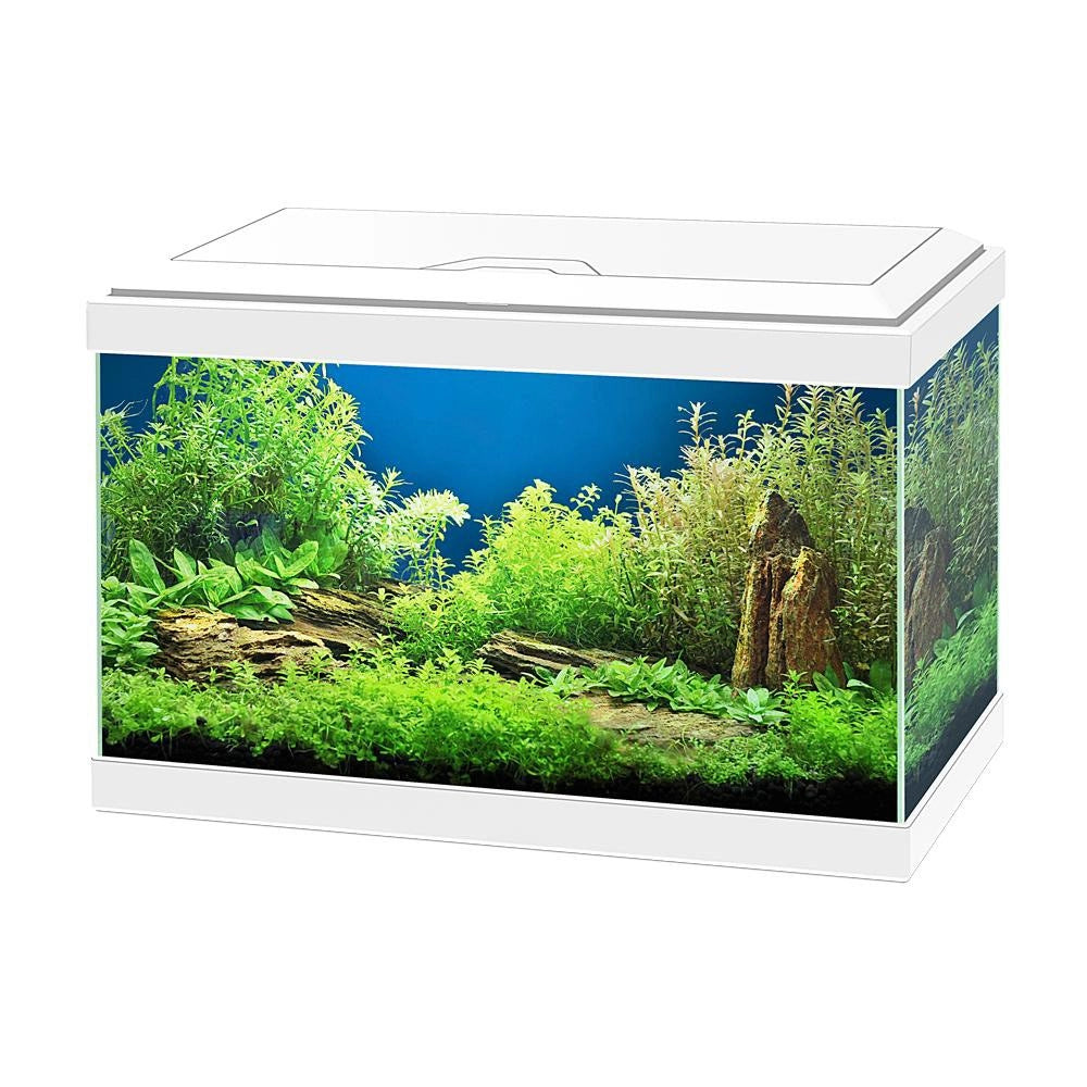 Ciano Acquario Aqua 20 LED cm40x20x25h Colore: Bianco