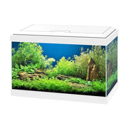 Ciano Acquario Aqua 20 LED cm40x20x25h Colore: Bianco