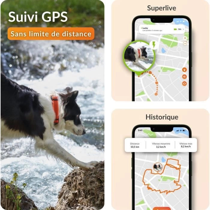 Collare GPS per cani - WEENECT Dog XT - Antenna XL - Impermeabile - Collare Julius-K9 - Funziona con abbonamento - Arancione