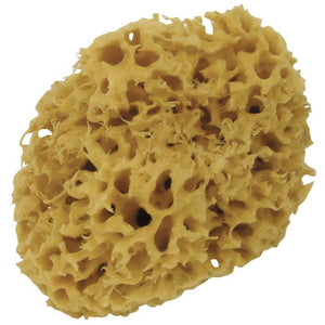 SPUGNA MARINA Ø 140 MM  EFF.M