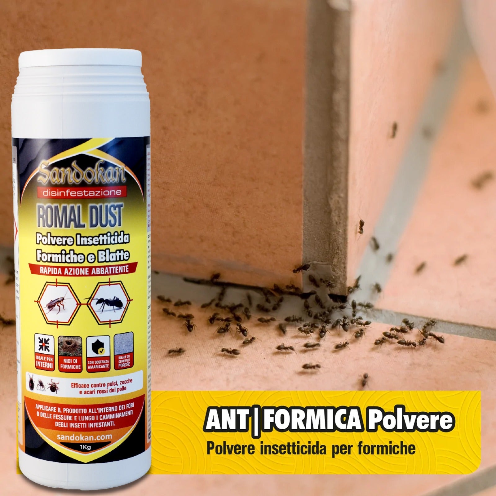 1 Kg Insetticida Polvere Formiche