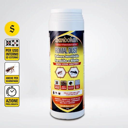 1 Kg Insetticida Polvere Formiche