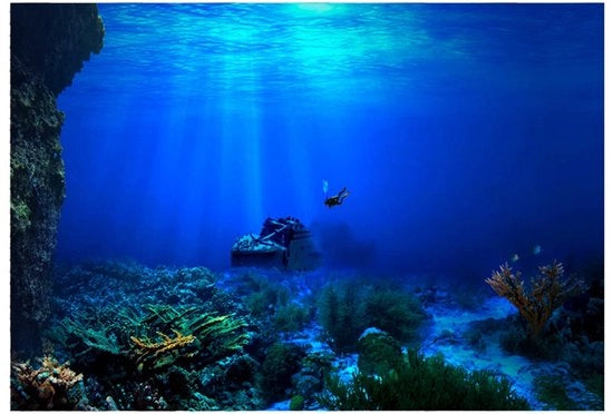 Decorazione per Acquario 3D Effetto - Poster Autoadesivo - Carta Decorativa - PVC - Dimensioni Opzionali 61 x 30 cm - Nuovo di Zecca - Decorazione per Acquario