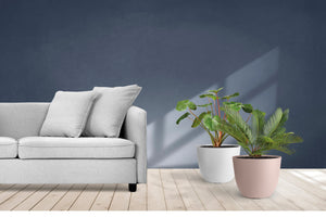 Nicoli vaso rotondo a ciotola Conca Pure in polipropilene, dimensioni diametro cm 38x30h, capacità 26 litri, per interno ed esterno