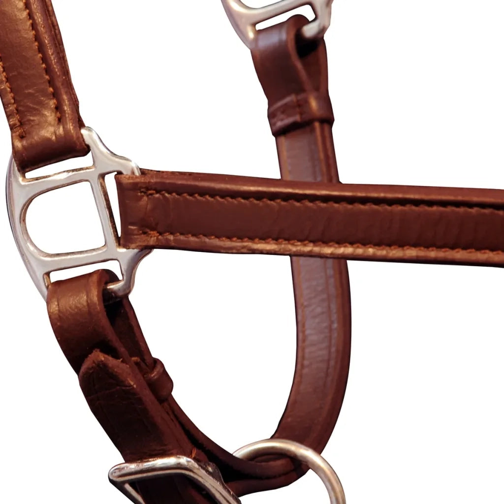 Cavezza testiera cuoio naturale regolabile per stalla marrone cavallo CFW7866211