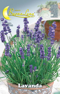 semi orto lavanda cod:ferx.76475