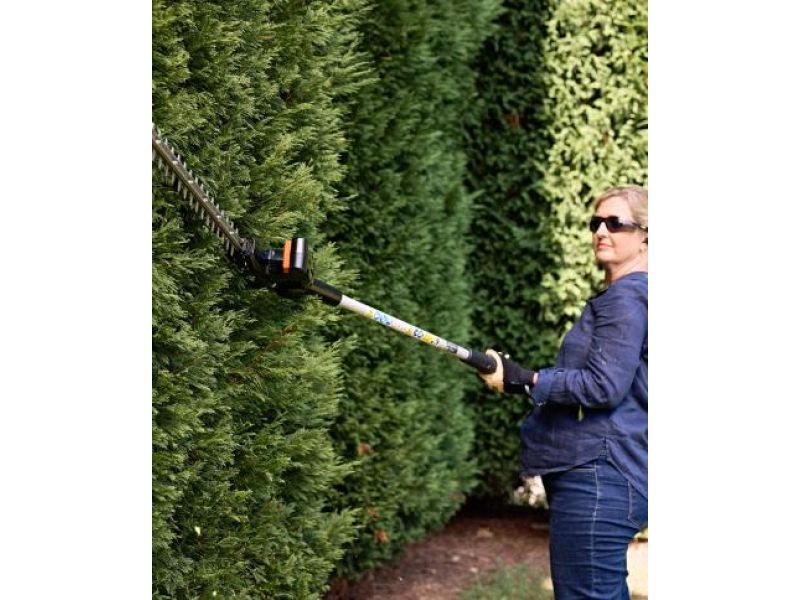 Tagliasiepi a batteria 40V Echo DHCA-310 ad asta telescopica senza batteria