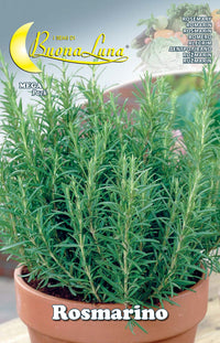 semi orto rosmarino cod:ferx.76486