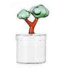 TALKING TREES scatola