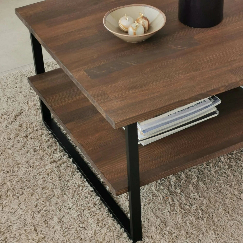 Tavolino da salotto Aprica, Tavolo basso da caffè, Portariviste per divano, Ripiano da soggiorno, 85x60h40 cm, Noce