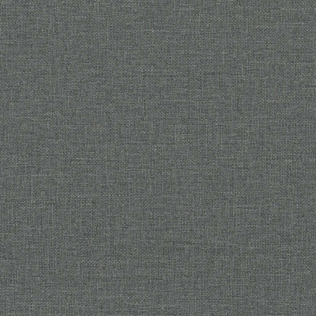 Divano | Divano da soggiorno | Sofa a 3 Posti Grigio Scuro in Tessuto