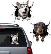 Sticker 3D Effetto - Decorazione per Animali - Decorazione per Auto - Decorazione per Parete - Resistenti all'Acqua - Materiale PVC - Dimensioni 30x30 cm - Sticker Animali