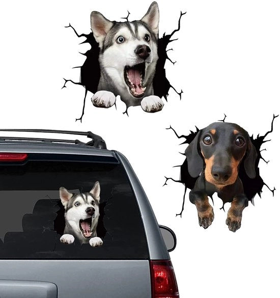Sticker 3D Effetto - Decorazione per Animali - Decorazione per Auto - Decorazione per Parete - Resistenti all'Acqua - Materiale PVC - Dimensioni 30x30 cm - Sticker Animali