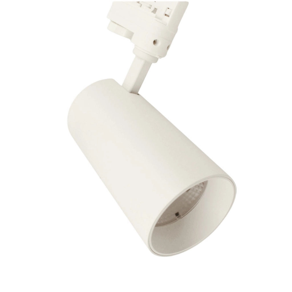 Faro Lampada Led A Binario 30W 2800lm Trifase CCT Angolo Luce 50° CRI>90 UGR<19 Carcassa Bianca 3000K 4000K 6000K 3 In 1 D80X157mm