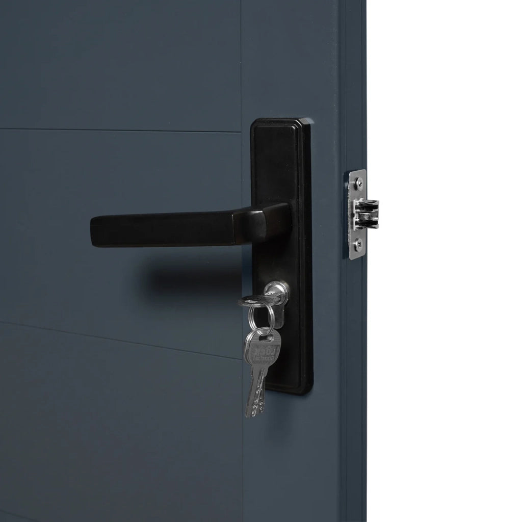 IDMarket - Porta a battente 100 x 160 cm in alluminio grigio antracite