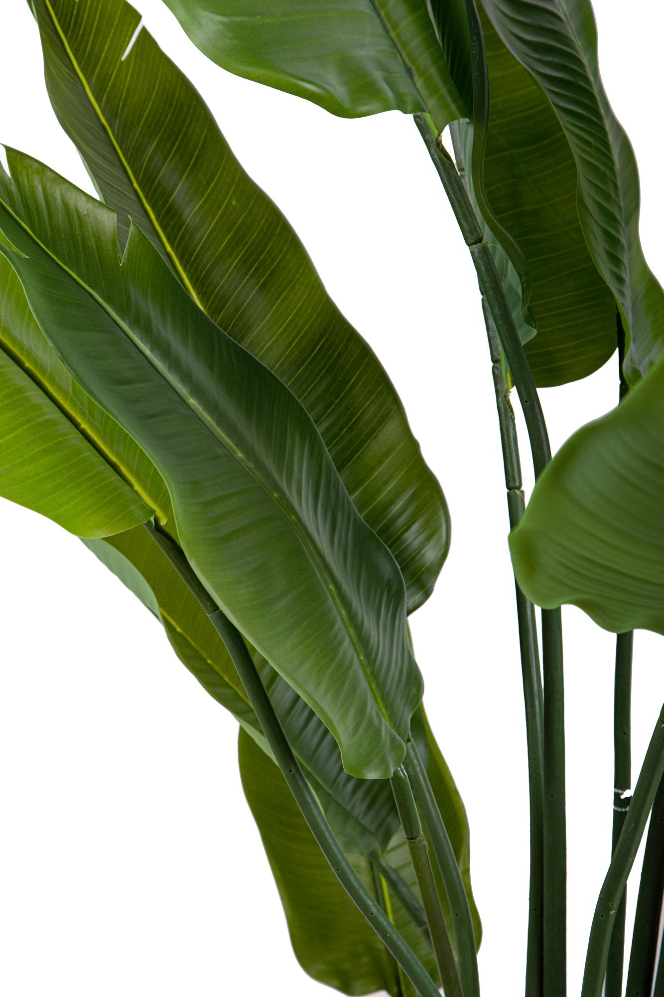 Pianta Artificiale Sterlizia con Vaso Composta da 20 Diramazioni Real Touch H 180 cm