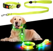 Cinturino per Cane LED Ricaricabile con Cinturino Illuminato - Sicuro e Visibile