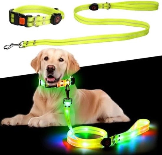 Cinturino per Cane LED Ricaricabile con Cinturino Illuminato - Sicuro e Visibile