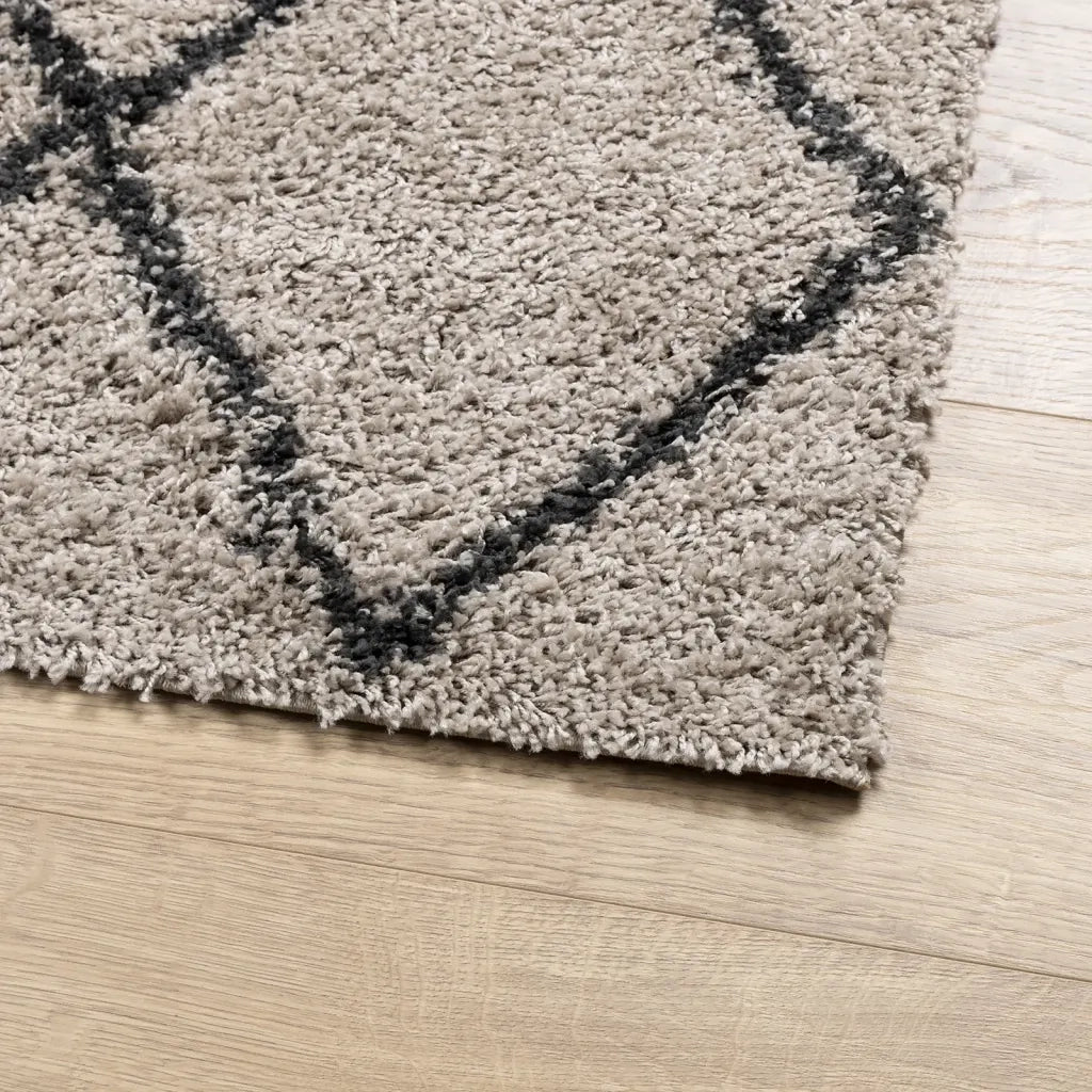 Tappeto Shaggy PAMPLONA a Pelo Lungo Beige e Antracite 80x250cm 375385