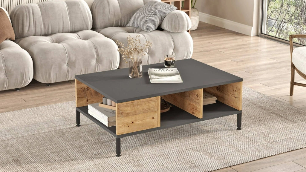 Lemie, Tavolino da Salotto 3 Vani, 60x90x33.1h cm Marrone Antracite