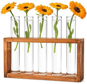 Set di vaschette reattive per fiori - piccole vaschette reattive con base in legno - tubi di vetro con fondo piatto - insieme di decorazione per vasi per piante di hydrocultura, decorazione per tavolo, casa, ufficio, soggiorno, cucina