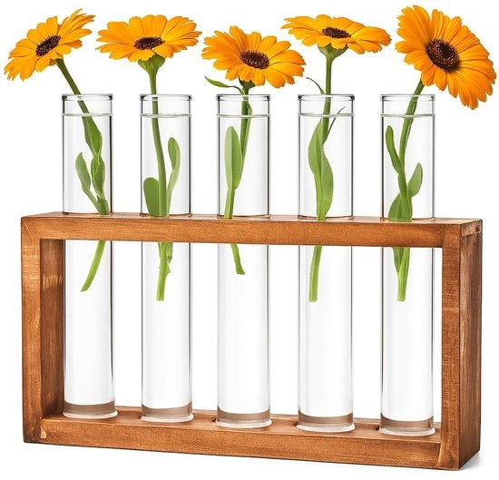 Set di vaschette reattive per fiori - piccole vaschette reattive con base in legno - tubi di vetro con fondo piatto - insieme di decorazione per vasi per piante di hydrocultura, decorazione per tavolo, casa, ufficio, soggiorno, cucina