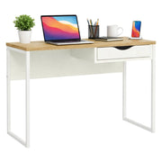 Scrivania Agave, Scrittoio multiuso, Tavolo per ufficio porta PC, Piano di lavoro, 110x48 h77 cm, Bianco