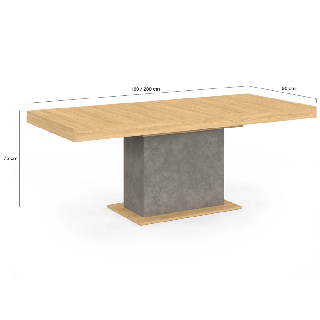 IDMarket - Tavolo da pranzo rettangolare allungabile EDEN 6-10 persone effetto legno e cemento 160-200 cm