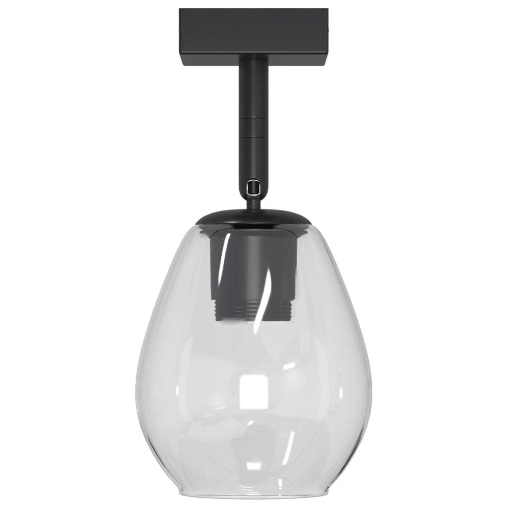 Lampade da soffitto  con paralume in vetro regolabile antracite E27