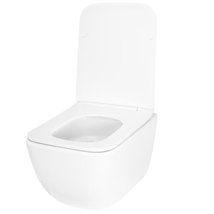 Vaso Wc Rea Dexter Tornado
